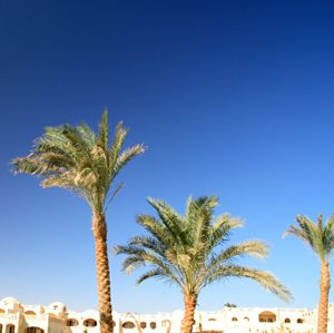 Algerian cityscape