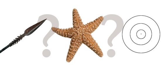 Spearhead ? Starfish ? Concentric Circles Spearhead ? Starfish ? Concentric Circles